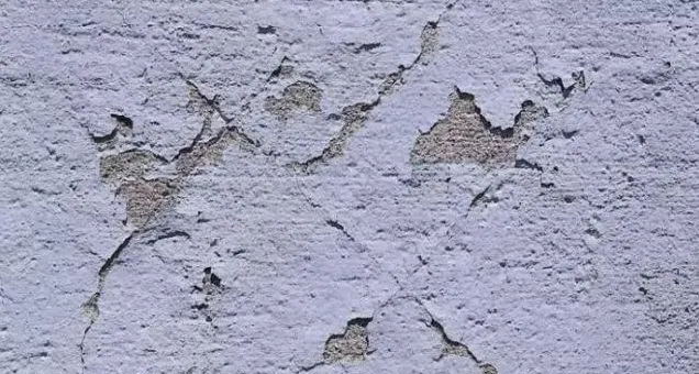 1_看圖王.web